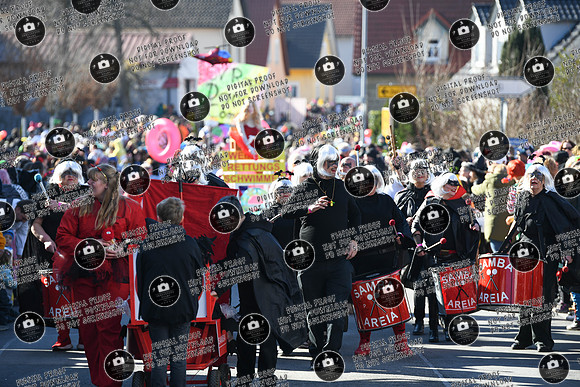 20250302_Sander_Faschingszueg_re-119
