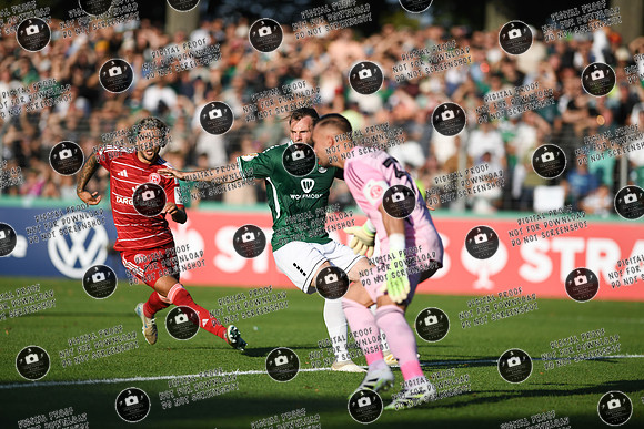 20250818_FC05-F95_DFB_re-176