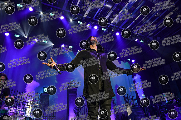 20250321_AVANTASIA_BAMre-421