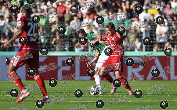 20250818_FC05-F95_DFB_re-149