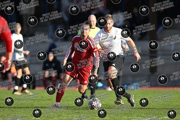 20241103_SVE-SVS_re-039