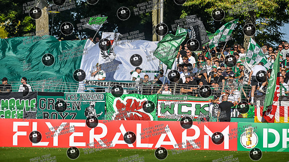 20250818_FC05-F95_DFB_re-046