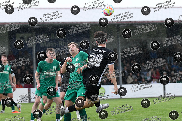 20240529_TSV-WFV_Relegation_re-072