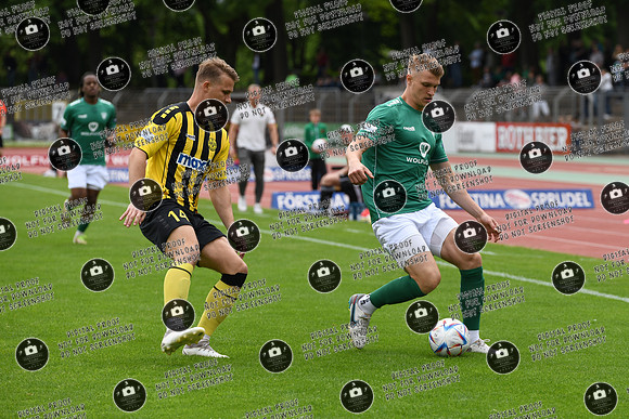 20240518_FC05-SpVgg_re-307