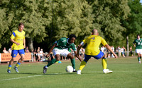 20250628_TSVG-FC05_re-303