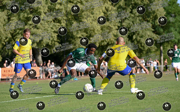 20250628_TSVG-FC05_re-303