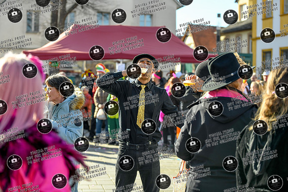 20250303_ Hallstadter_Faschingszug_re-352