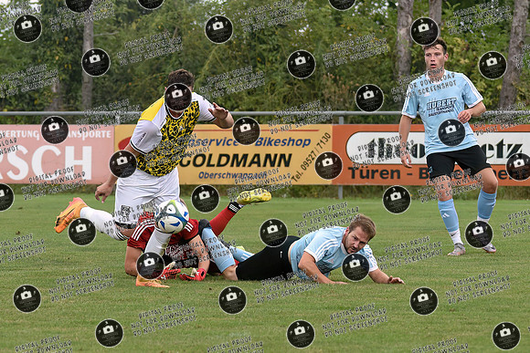 20240818_Westheim-Kirchaich_re-208