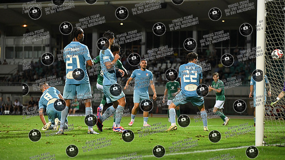 20240906_FC05-TM_re-198