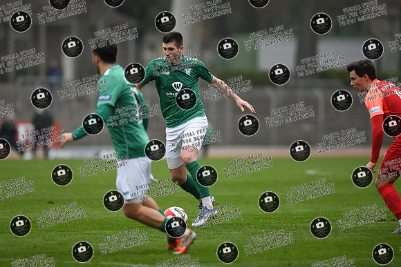 20241109_FC05-SpVgg_re-0203