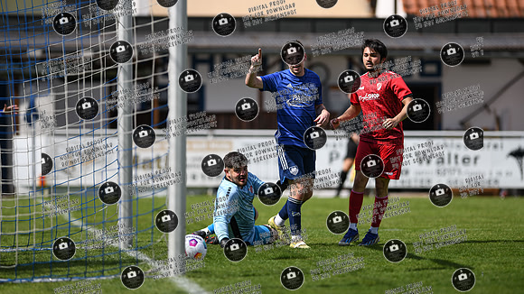 20250504_TSV-SV12_re-029