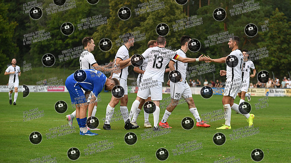 20250815_Oberhaid-Schammelsdorf_re-085