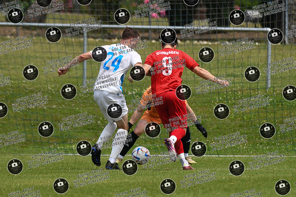 20240629_Dampfach-Schonungen_TS_re-022