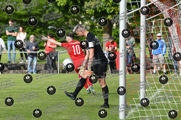 20240504_Schwebenried-Fuchsstadt_re-054