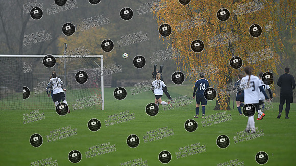 20241110_Rossstadt-PSV_re-0086