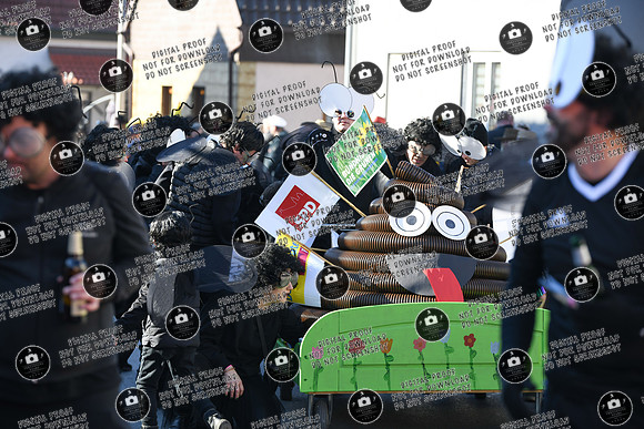 20250302_Sander_Faschingszueg_re-212