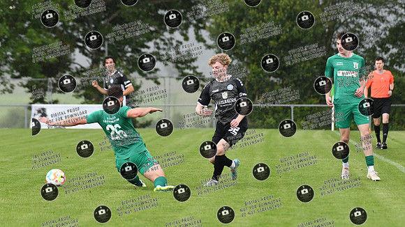 20240529_TSV-WFV_Relegation_re-085