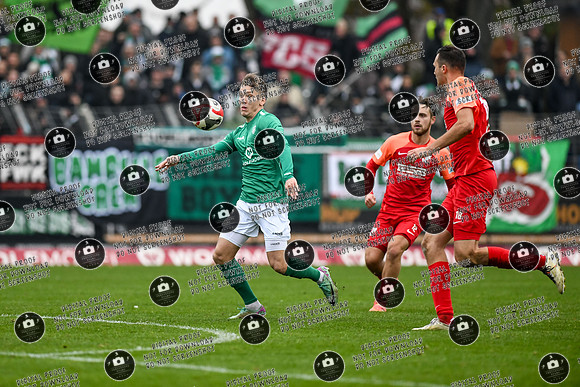20241109_FC05-SpVgg_re-0325