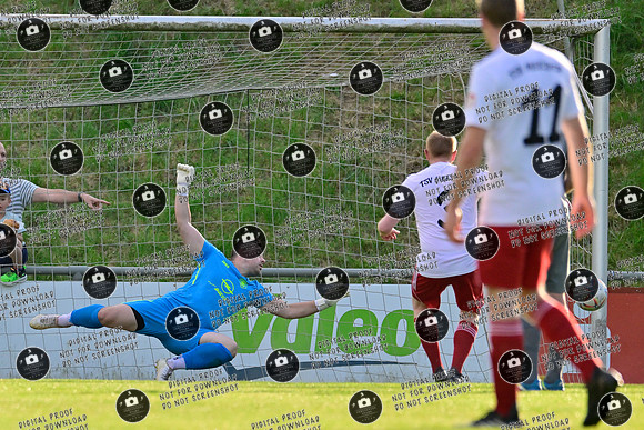 20240515_TVE-TSVM_re-001