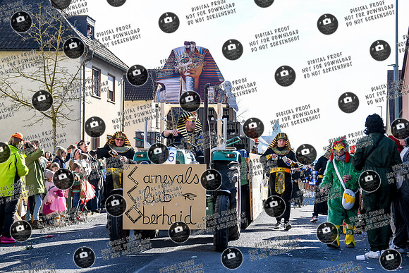 20250303_ Hallstadter_Faschingszug_re-532