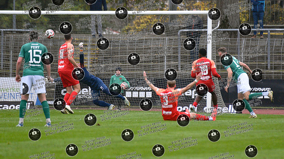 20241109_FC05-SpVgg_re-0073
