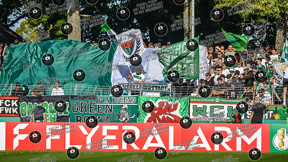 20250818_FC05-F95_DFB_re-048