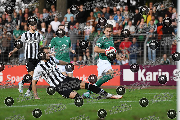 20240920_FC05-SVWB_re-029