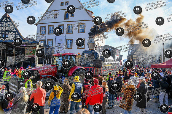 20250303_ Hallstadter_Faschingszug_re-553