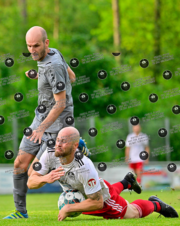 20240515_TVE-TSVM_re-018