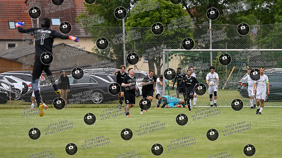20250529_Rele_FCK-SV12_re-252