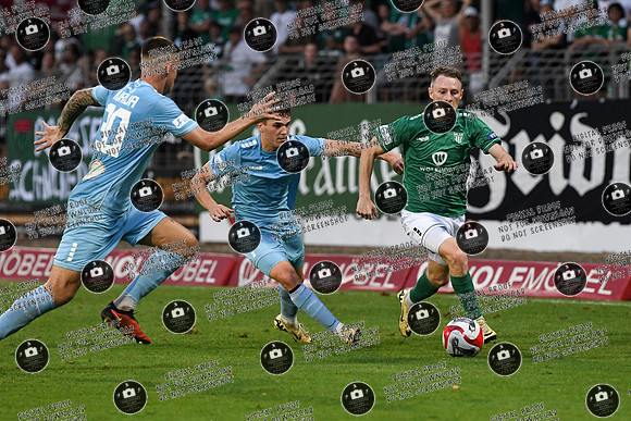 20240906_FC05-TM_re-150