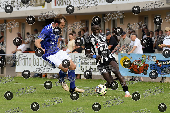 20240728_FCS-TSVM_re-083