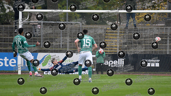 20241109_FC05-SpVgg_re-0032