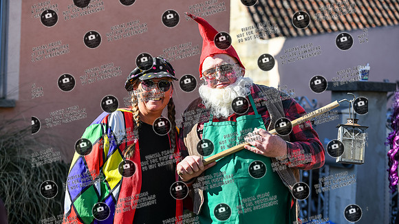 20250303_ Hallstadter_Faschingszug_re-061