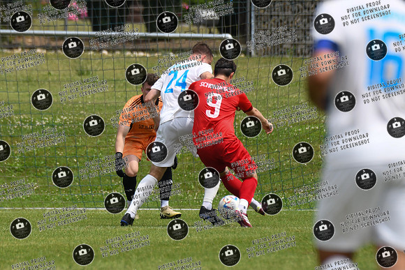 20240629_Dampfach-Schonungen_TS_re-024