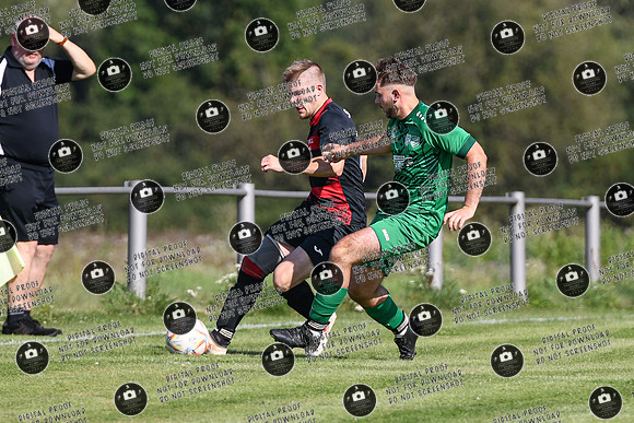 20240824_Gaedheim-Schonungen_re-006