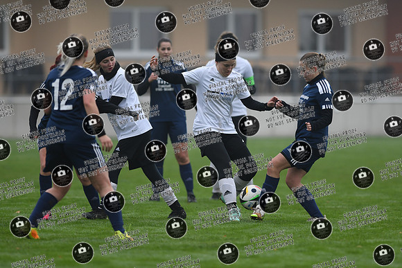 20241110_Rossstadt-PSV_re-0034