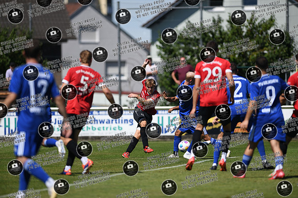 20250817_Gochsheim-Bergrheinfeld_re-042