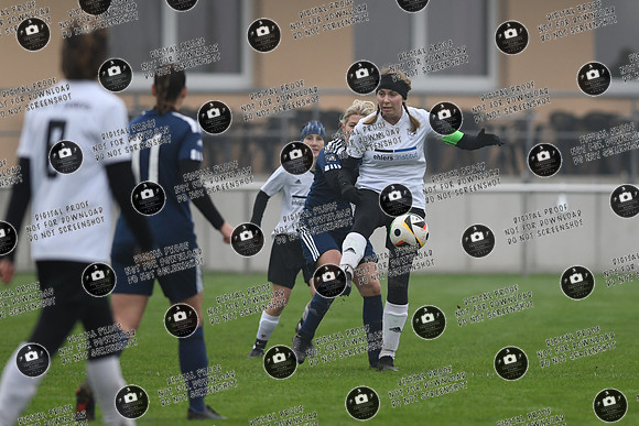 20241110_Rossstadt-PSV_re-0039