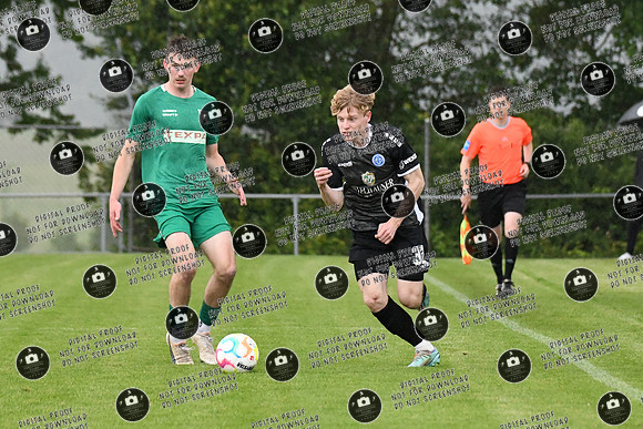 20240529_TSV-WFV_Relegation_re-084