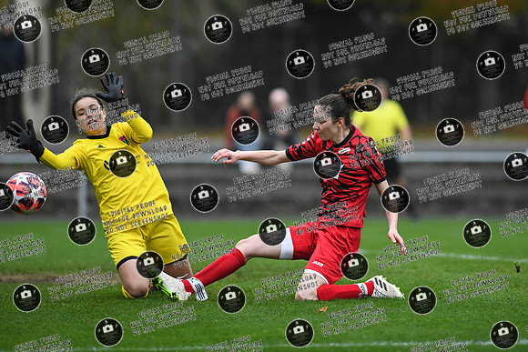 20241027_FC05-Limbach_damen_re-030