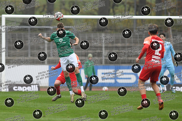 20241109_FC05-SpVgg_re-0235