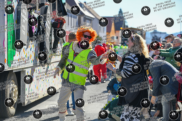 20250303_ Hallstadter_Faschingszug_re-064
