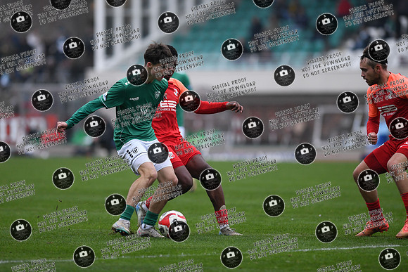 20241109_FC05-SpVgg_re-0280