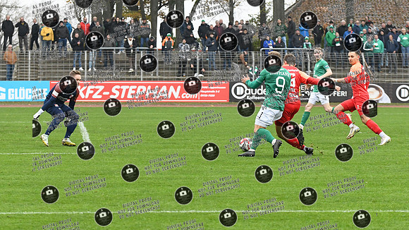 20241109_FC05-SpVgg_re-0445