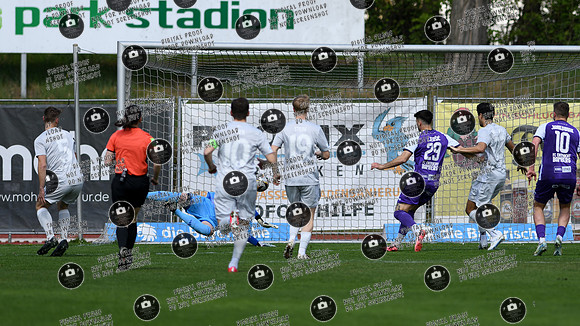 20250419_FCEB-SVA_re-046