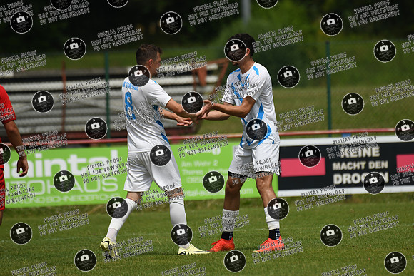 20240629_Dampfach-Schonungen_TS_re-014