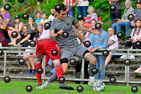 20240515_TVE-TSVM_re-029