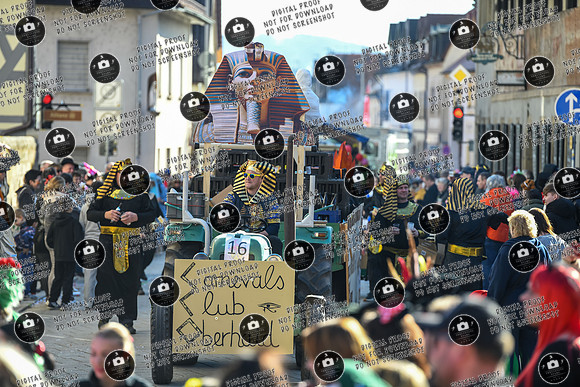 20250303_ Hallstadter_Faschingszug_re-266